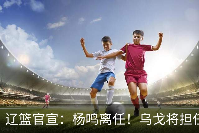 辽篮官宣：杨鸣离任！乌戈将担任辽宁男篮主帅